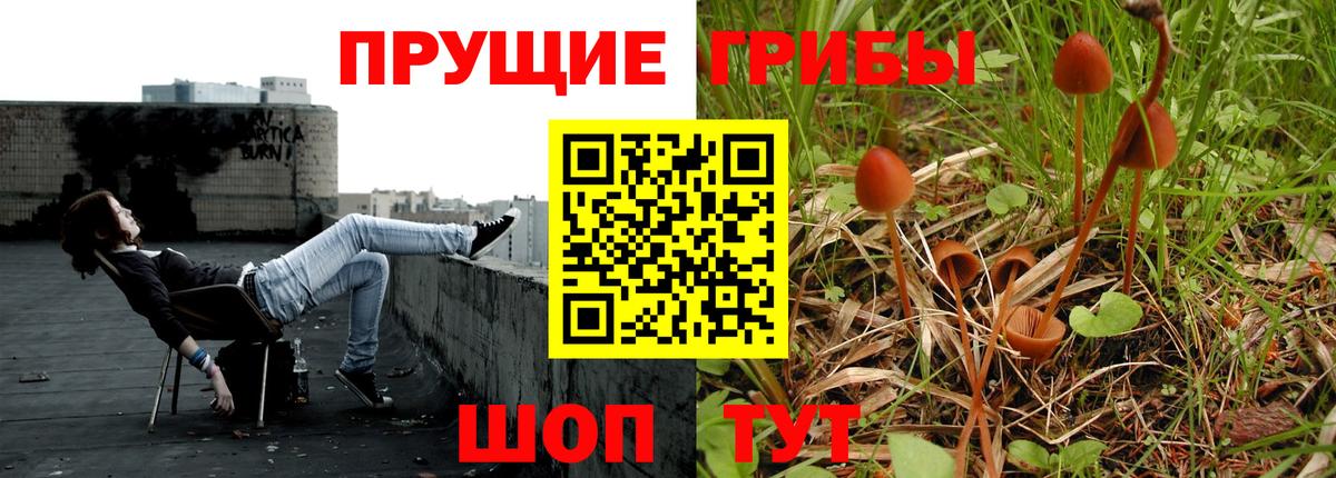 Псилоцибиновые грибы мицелий  Вход с VPN  Кимовск 